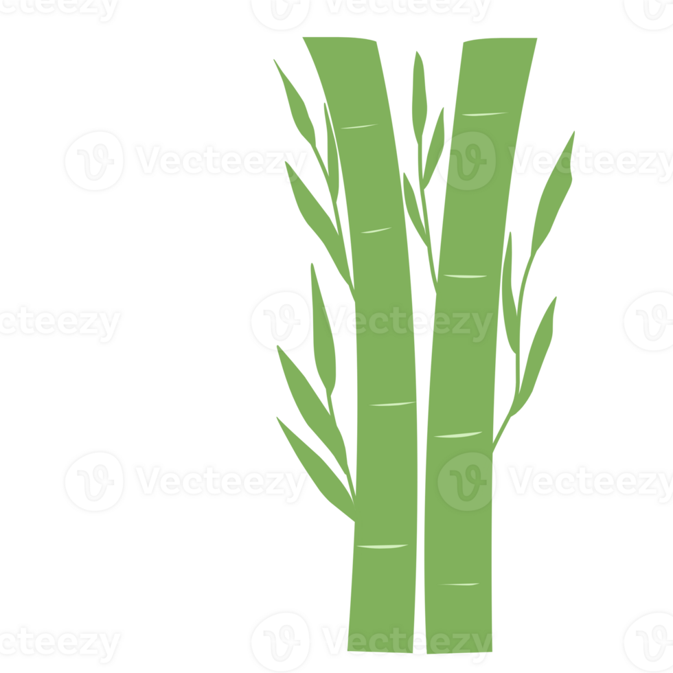Green Bamboo for Decorations png