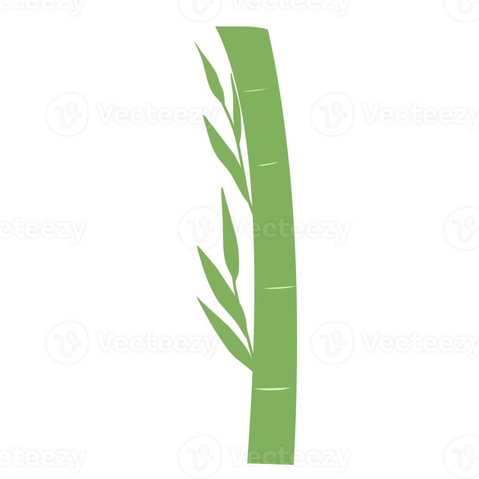 Green Bamboo for Decorations png