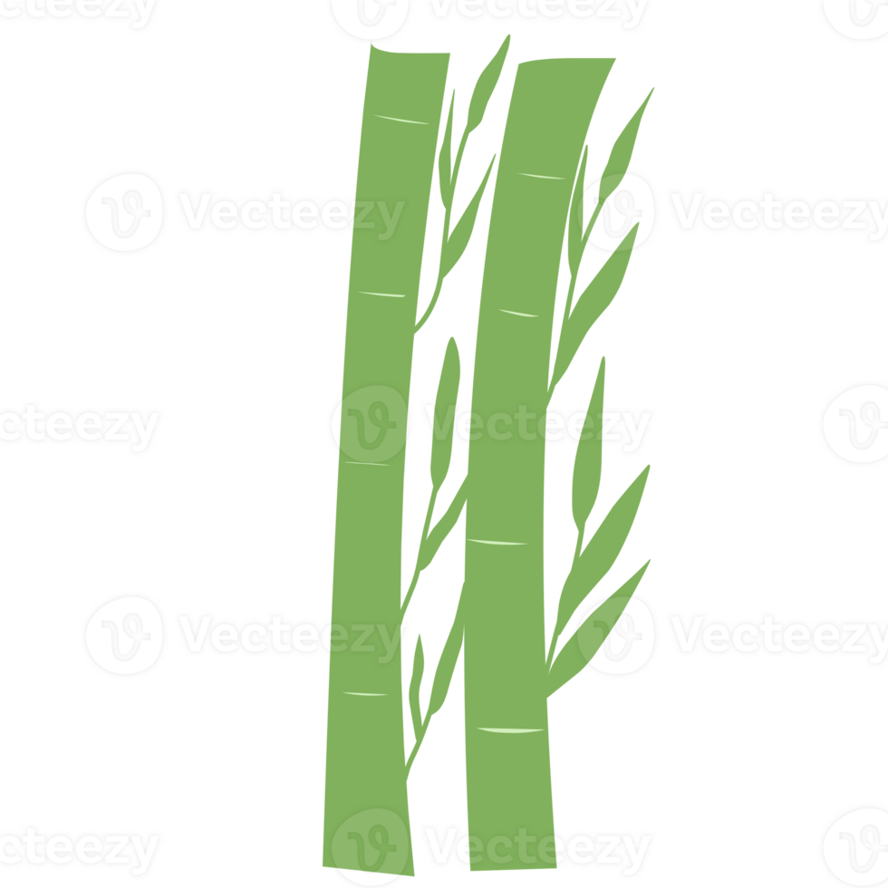 Green Bamboo for Decorations png