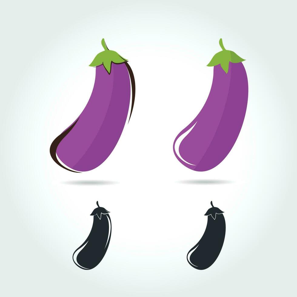 Eggplant fruit. Vector illustration