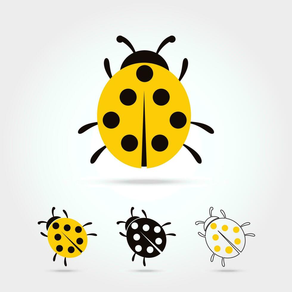 Illustration of the ladybug vector