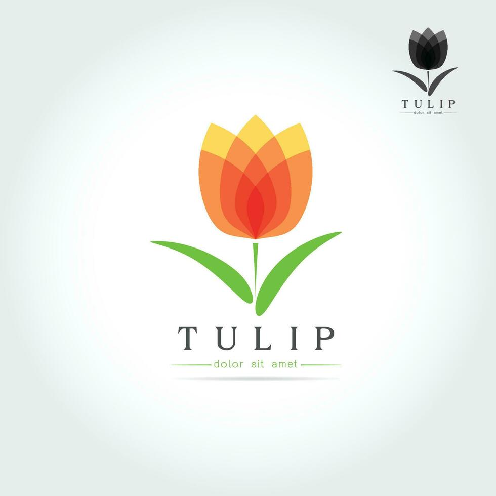 Simple Tulip bud with leaves design vector