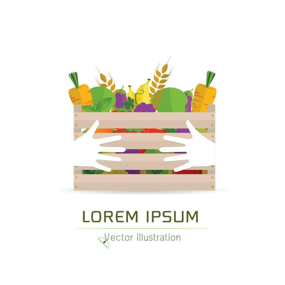 Fresh Fruits and vegetables in a box vector