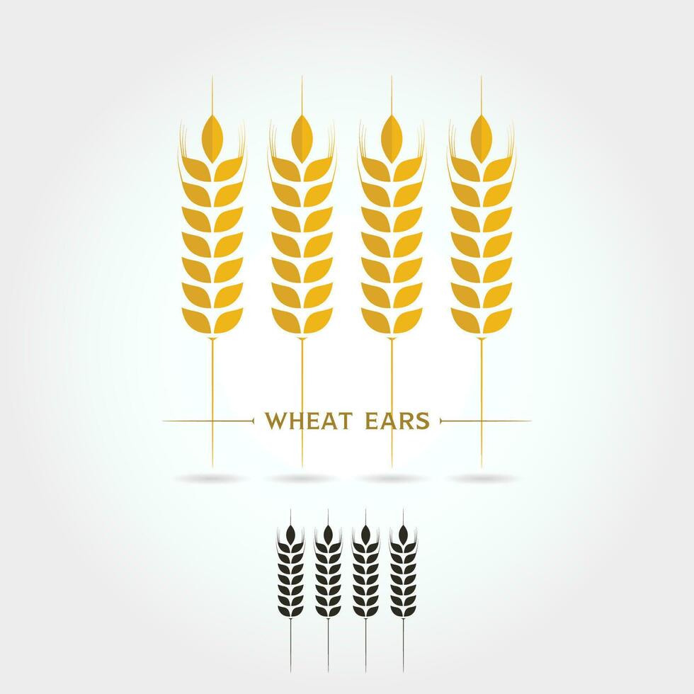 isolate icon of Wheat ears vector
