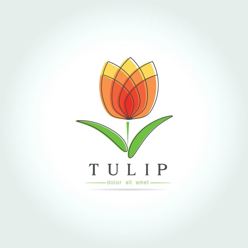 Simple Tulip bud with leaves design vector