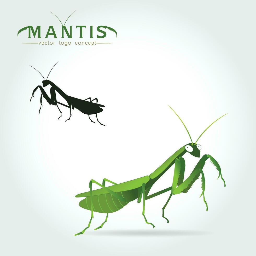 Green Mantis Vector