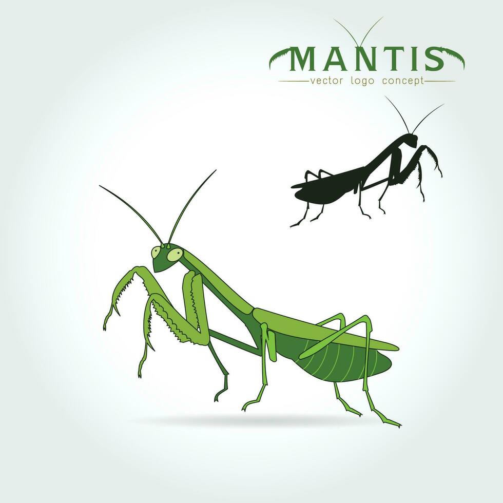 Green Mantis Vector