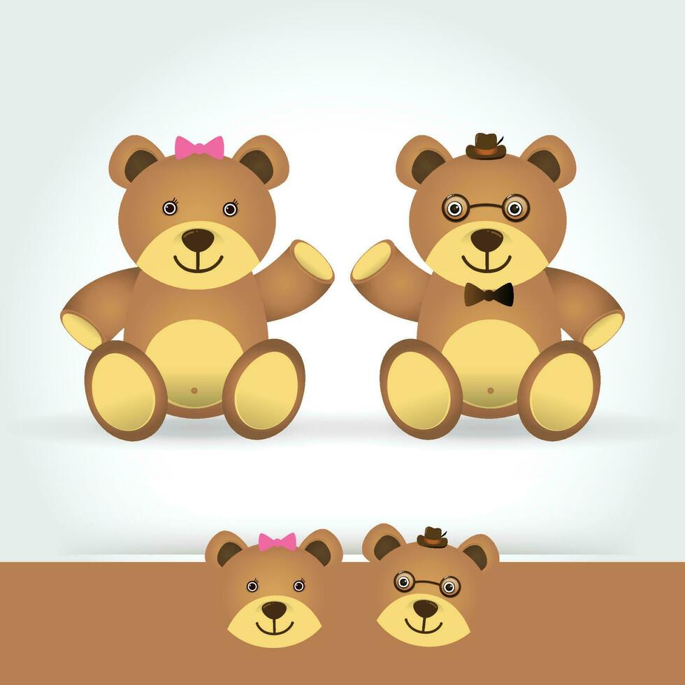 couple teddy bear on white background vector