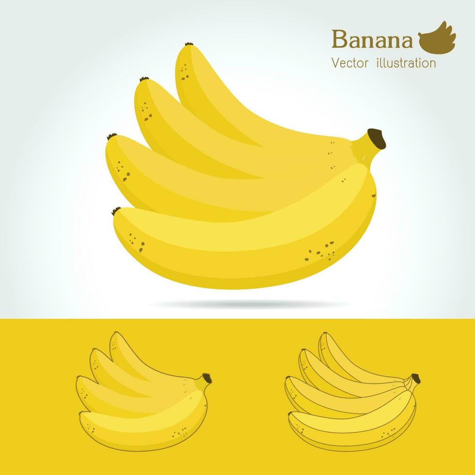 Banana fruit. Vector illustration