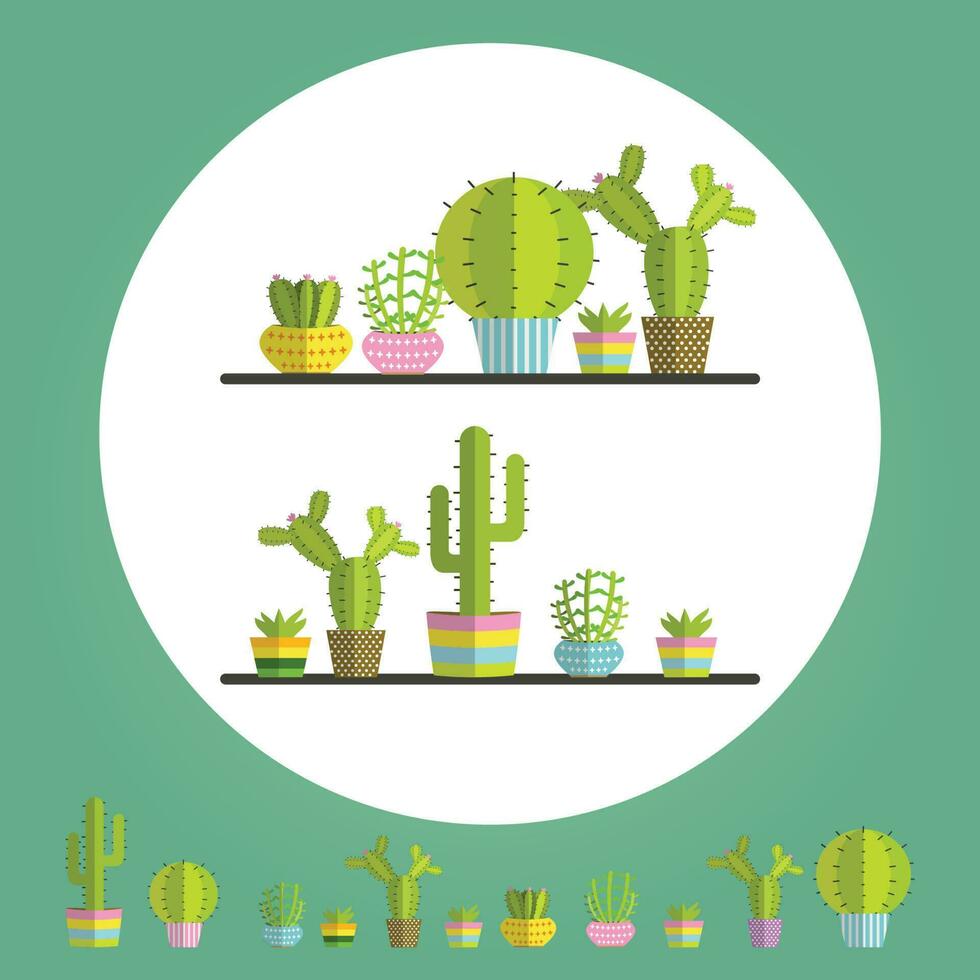 a succulent plants and Cactus vector