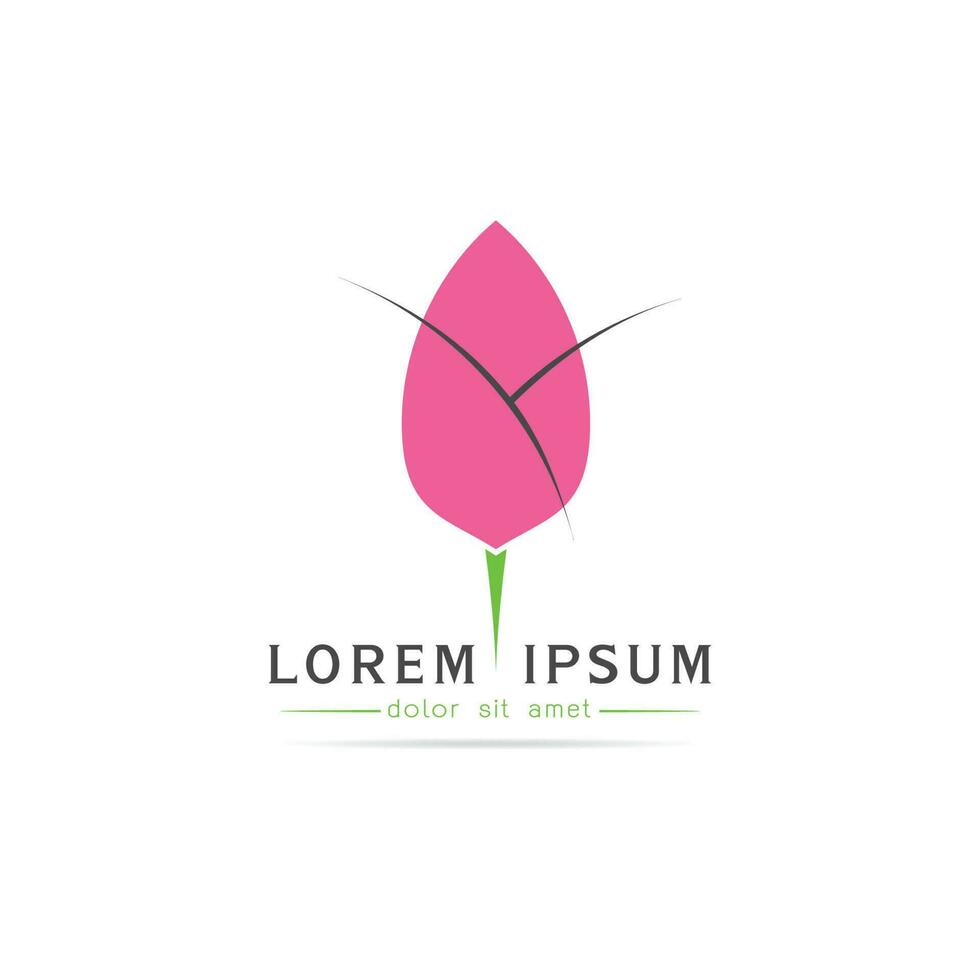 Lotus flower logo vector