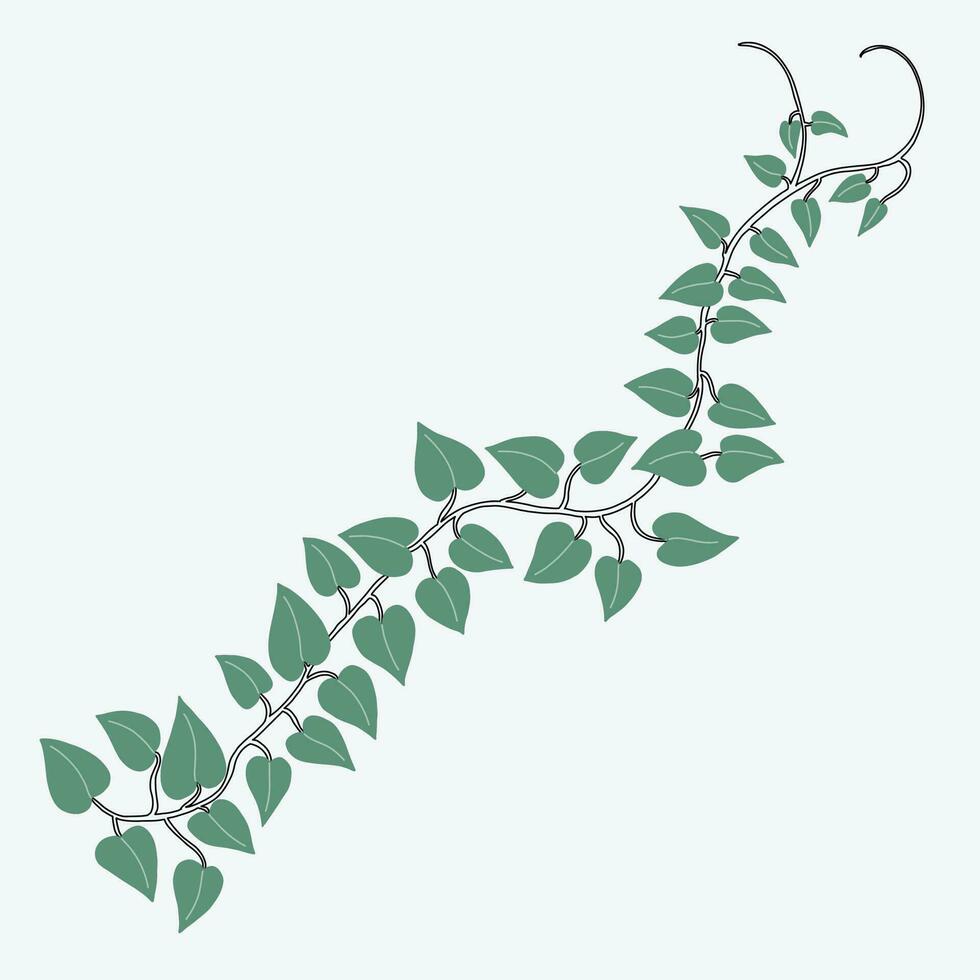 Floral ivy drawing decorative ornament flat design. vector