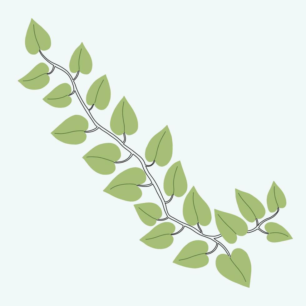 Floral ivy drawing decorative ornament flat design. vector