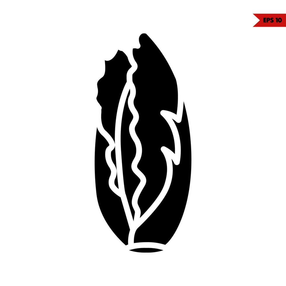 cabbage glyph icon vector