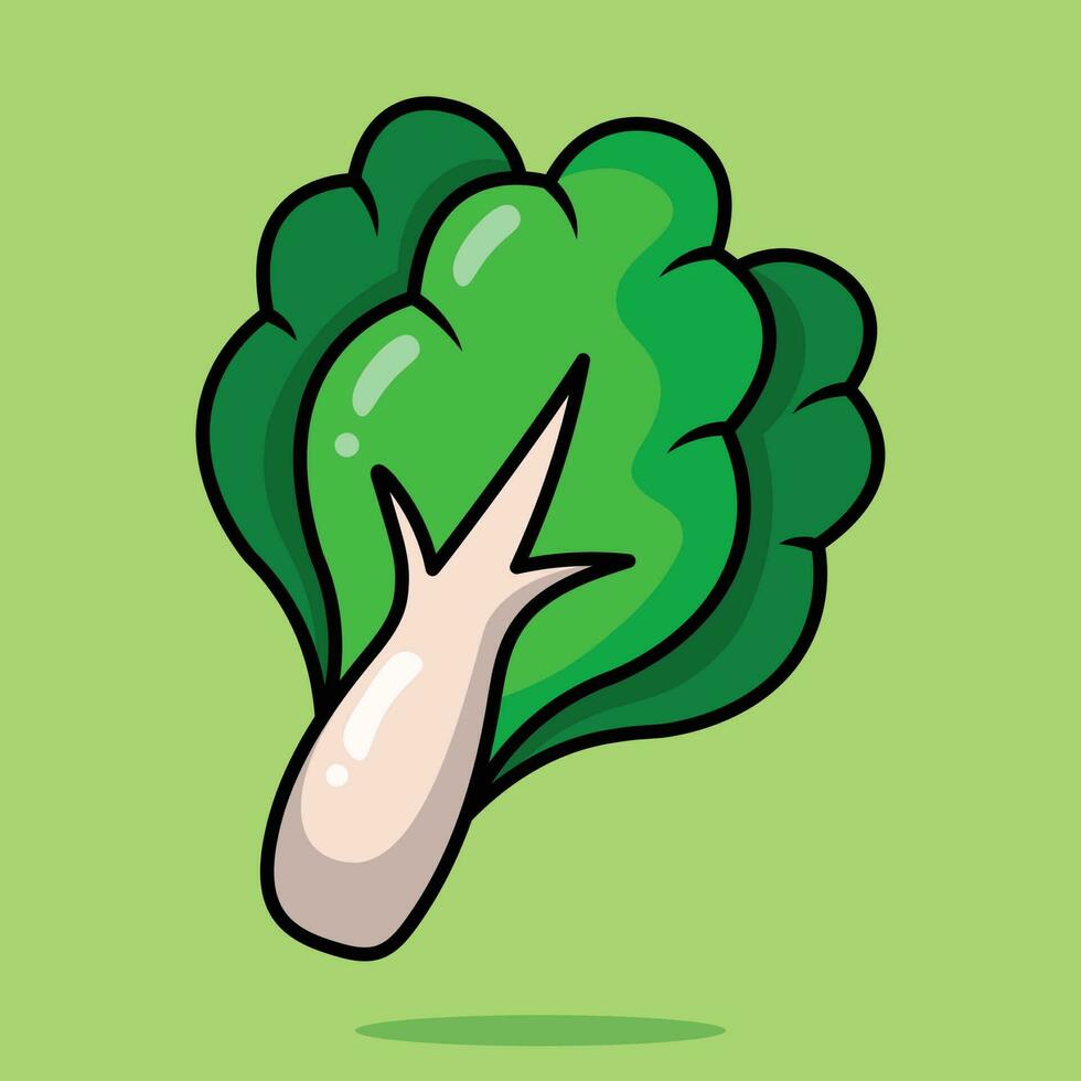 Flat style green leaf lettuce vegetable cartoon vector icon illustration food