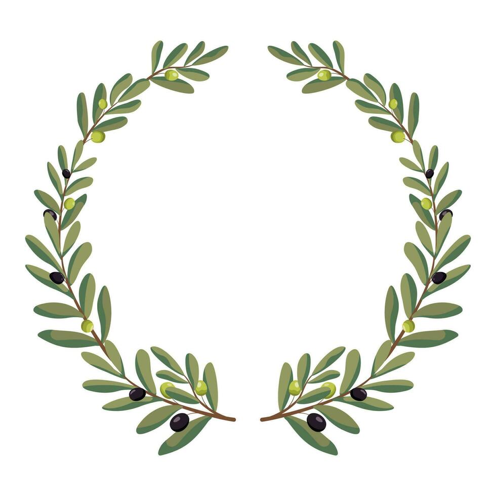 Olive branch round wreath. Vector illustration. Isolated on white background. Olive branches illustration composition. Olives arrangement circle frame.