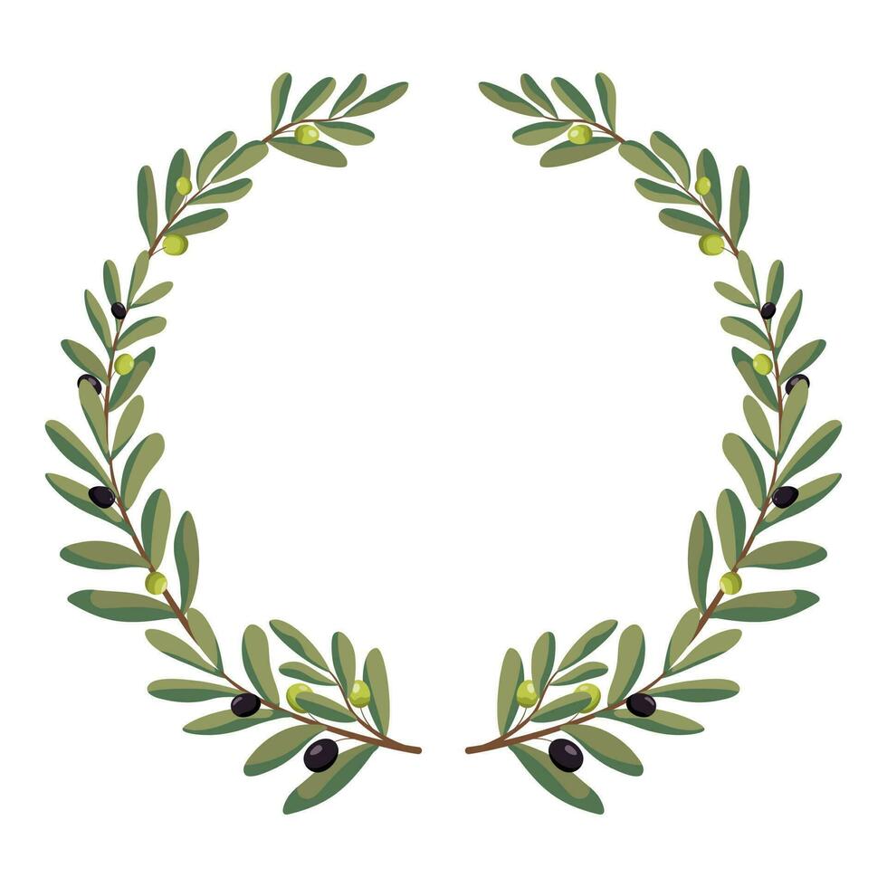 Olive branch round wreath. Vector illustration. Isolated on white background. Olive branches illustration composition. Olives arrangement circle frame.