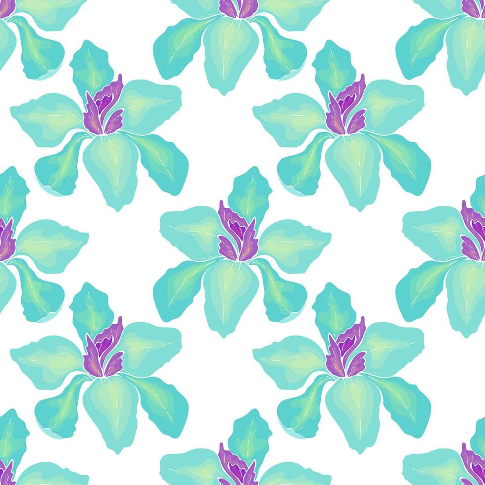 Pattern Iris blue and yellow flowers, white background. vector