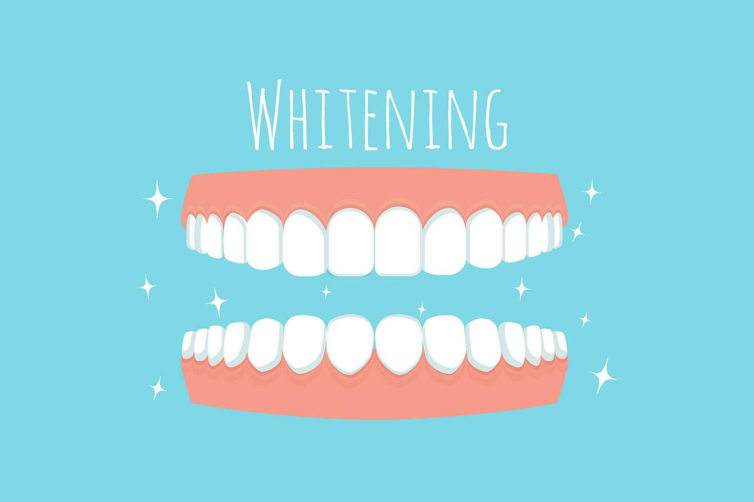 Teeth with gum, text Whitening isolated on white background. Dental care, stomatology concept in flat style. Vector illustration