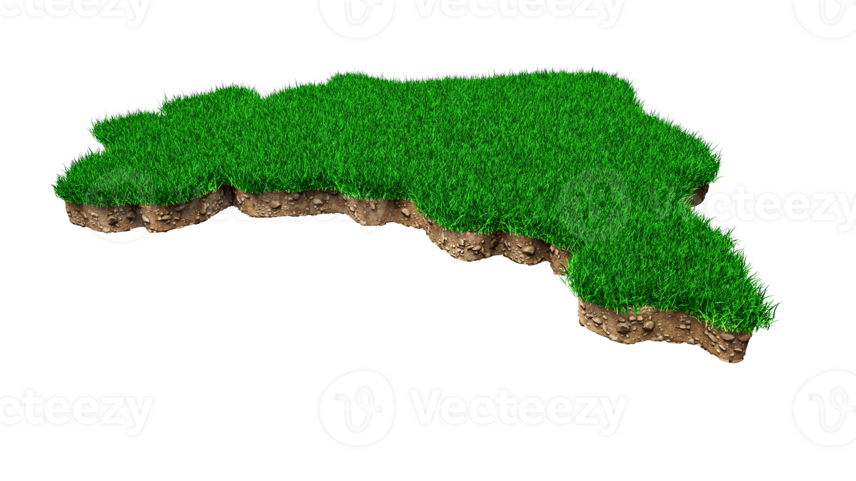 Brazil Map Grass and ground texture 3d illustration png