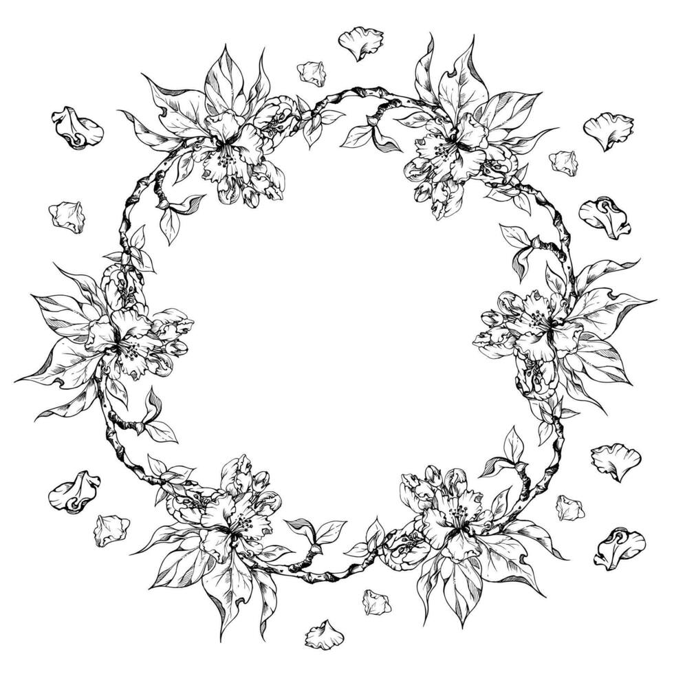 Hand drawn ink apple flowers, branches and leaves, monochrome vector, detailed outline blossom Circle round wreath Isolated on white background Design for wall art, wedding, print, fabric, cover, card vector