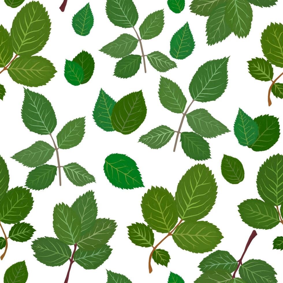 Pattern rose leaves gouache flat illustrations set. Green leaves pattern isolated on white background for wrapping paper, wallpaper vector