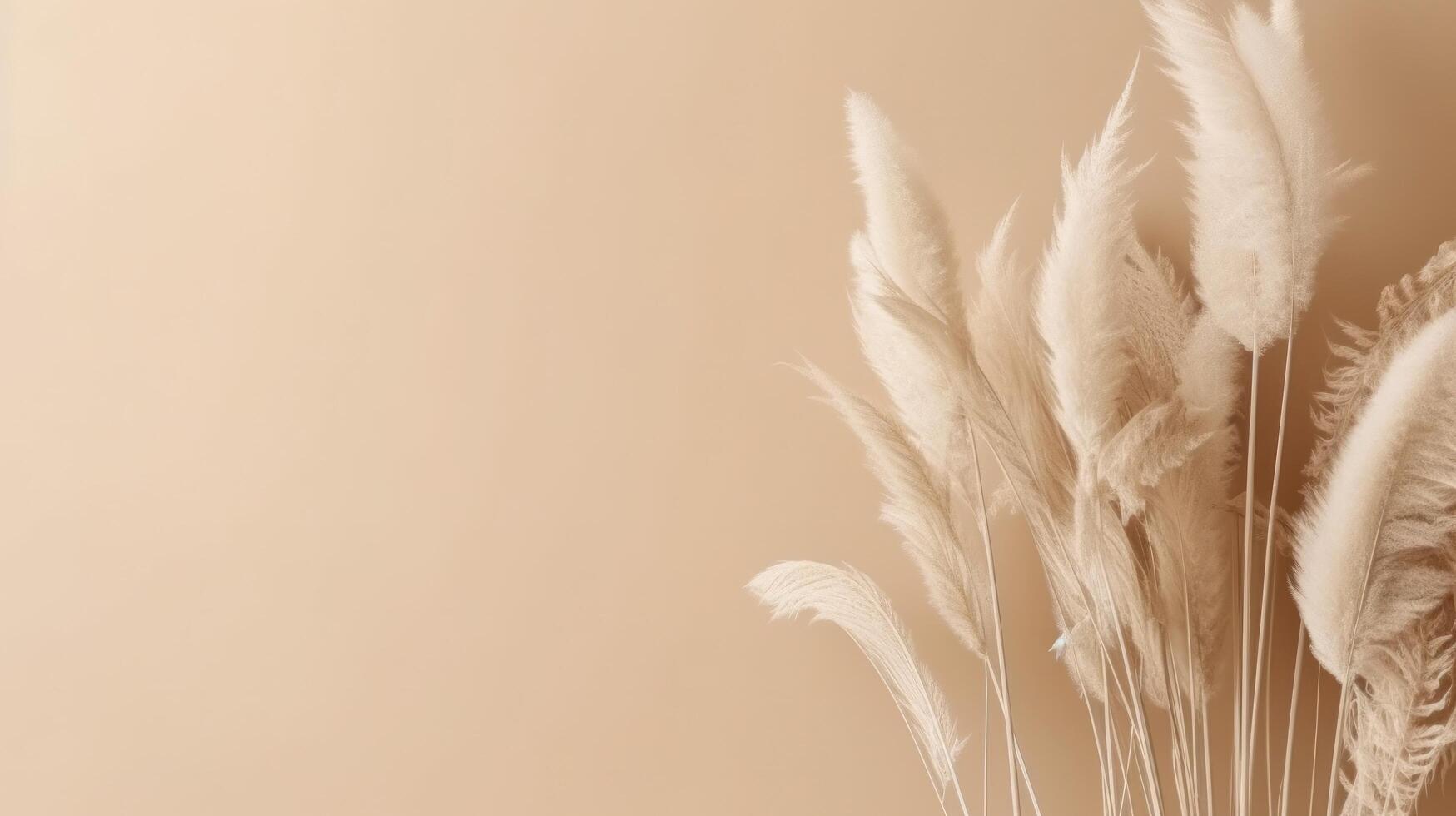 Pampas grass beige minimalist background. Illustration photo