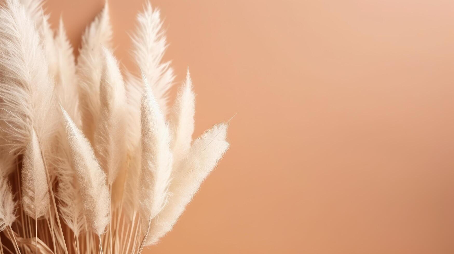 Pampas grass beige minimalist background. Illustration photo