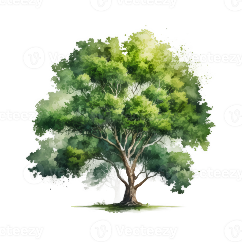 Watercolor green tree cutout png