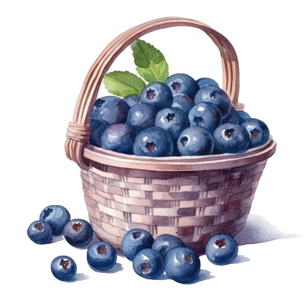 Watercolor blueberries in basket cutout png