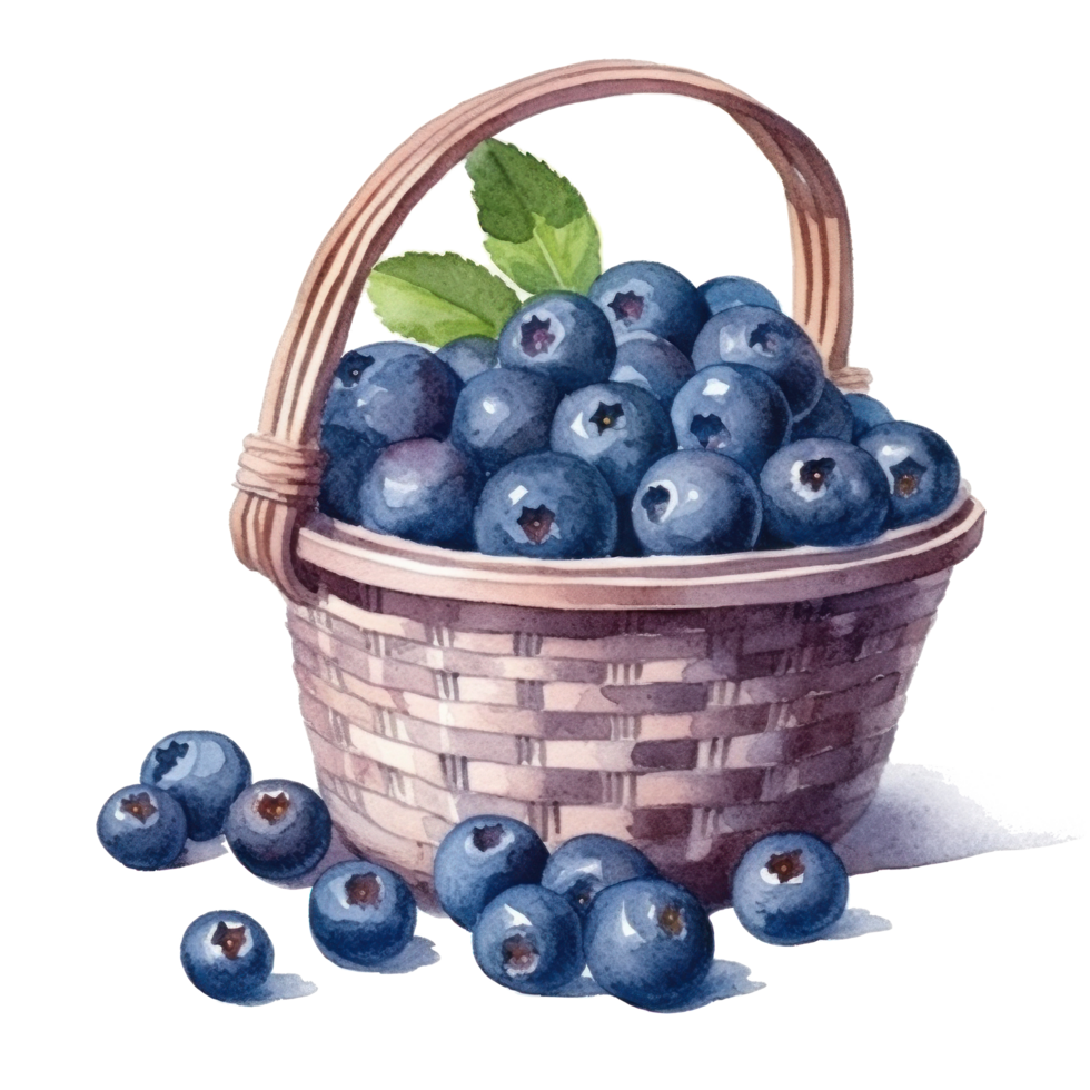 Aquarell Blaubeeren im Korb ausgeschnitten png