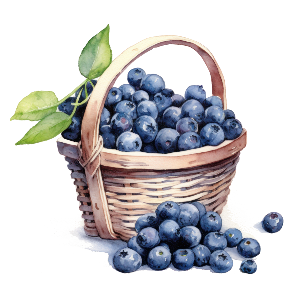 Aquarell Blaubeeren im Korb ausgeschnitten png