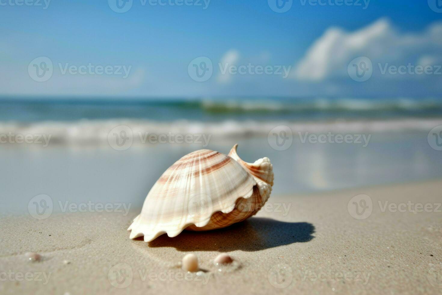 Shell on sea beach. Generate Ai photo