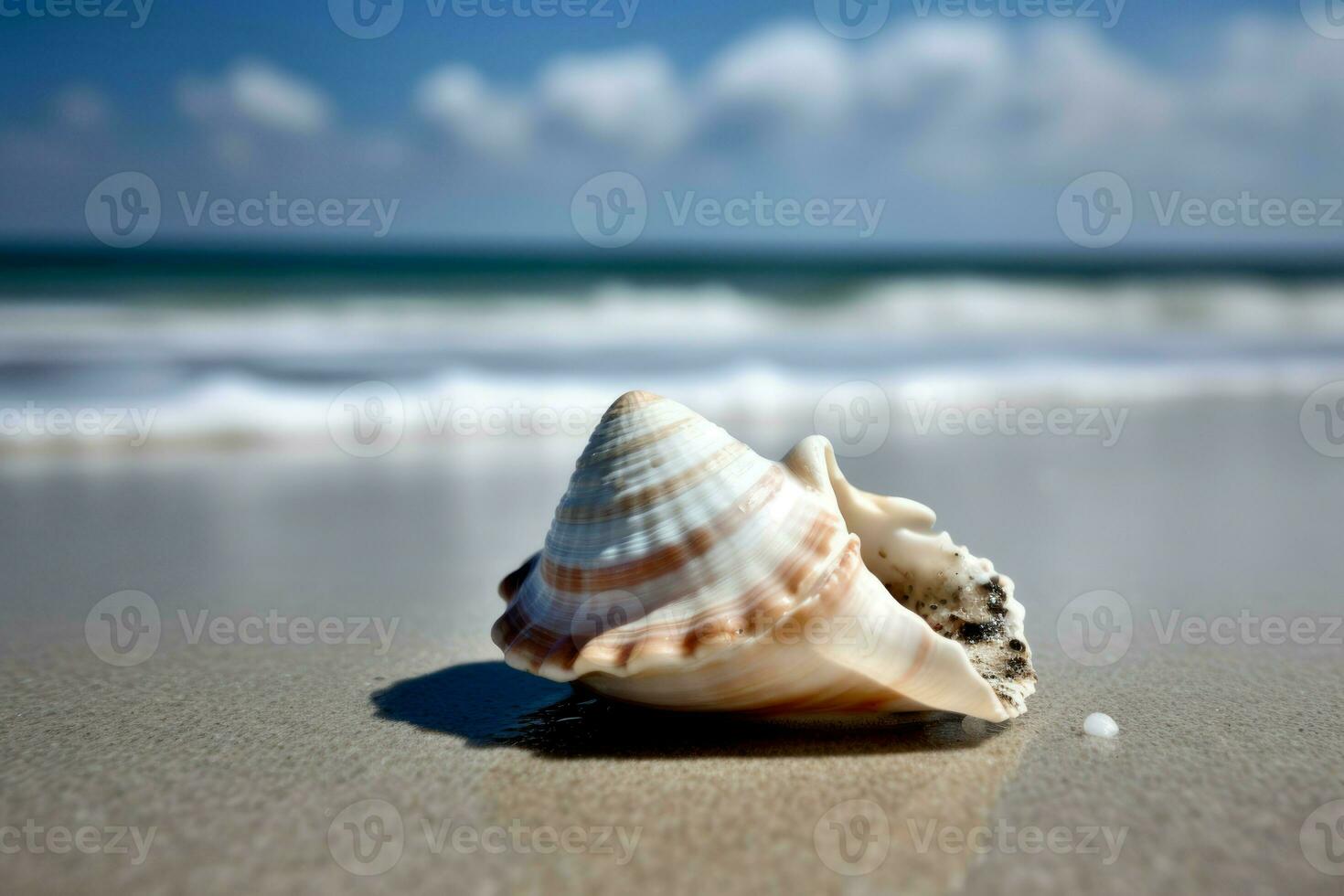 Shell on sea sunny beach. Generate Ai photo