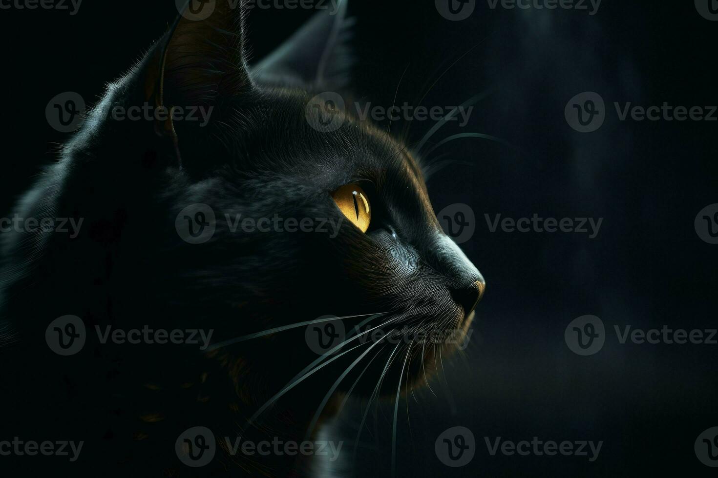 Mysterious black cat. Generate Ai photo