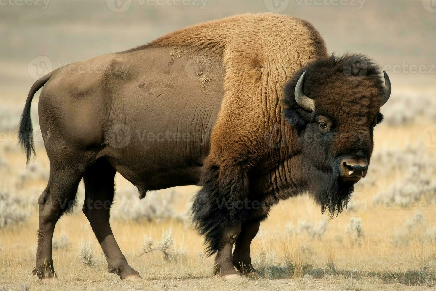 American bison animal. Generate Ai photo