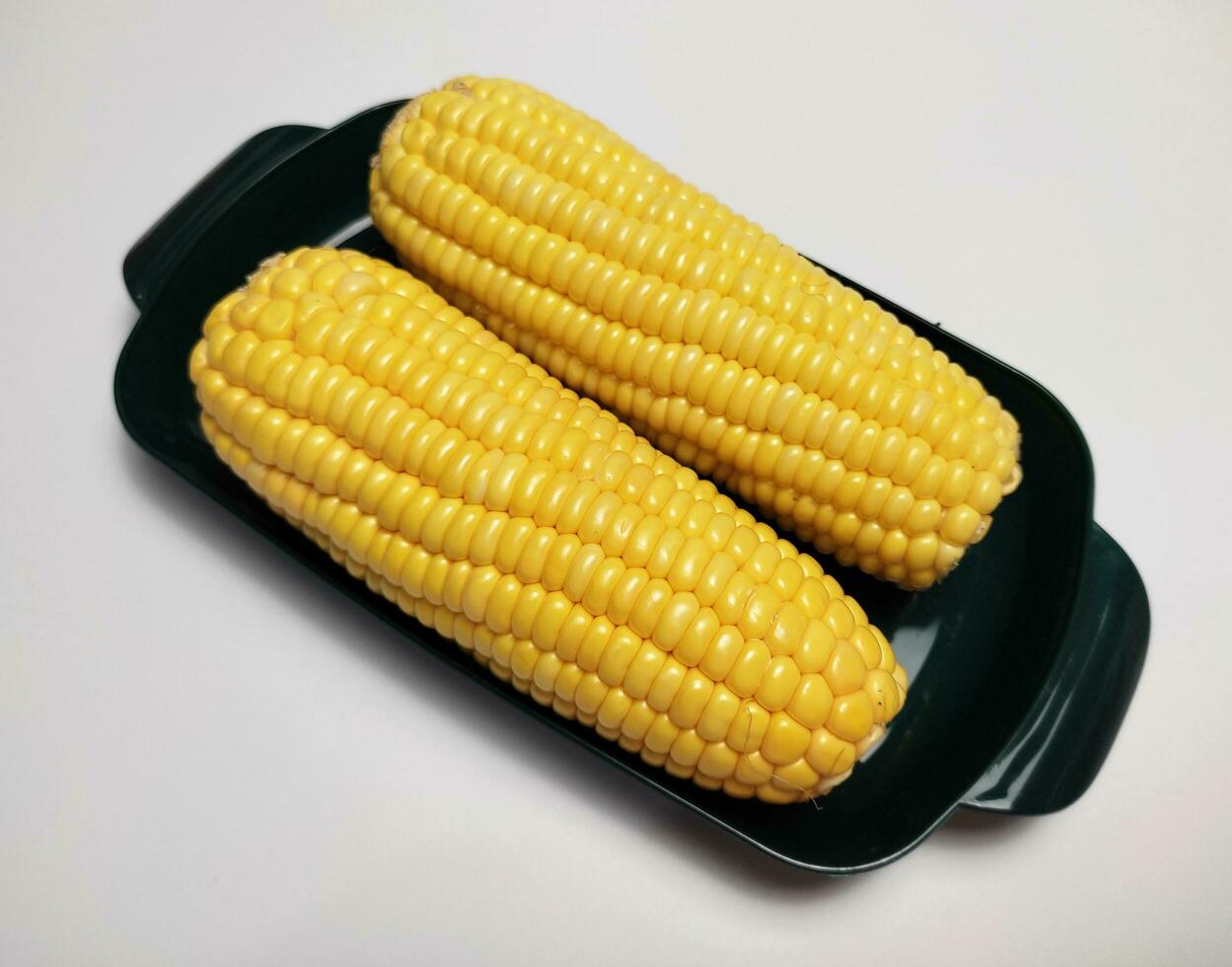 Fresh sweet corn on tray, isolated on white background. photo