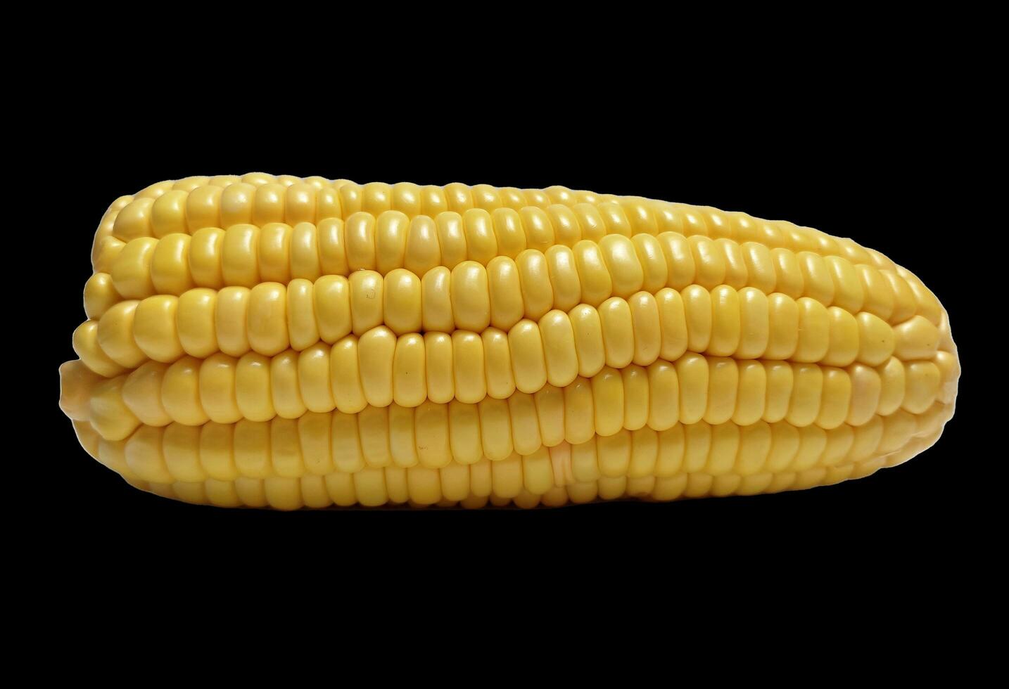 Single corn on a black background photo