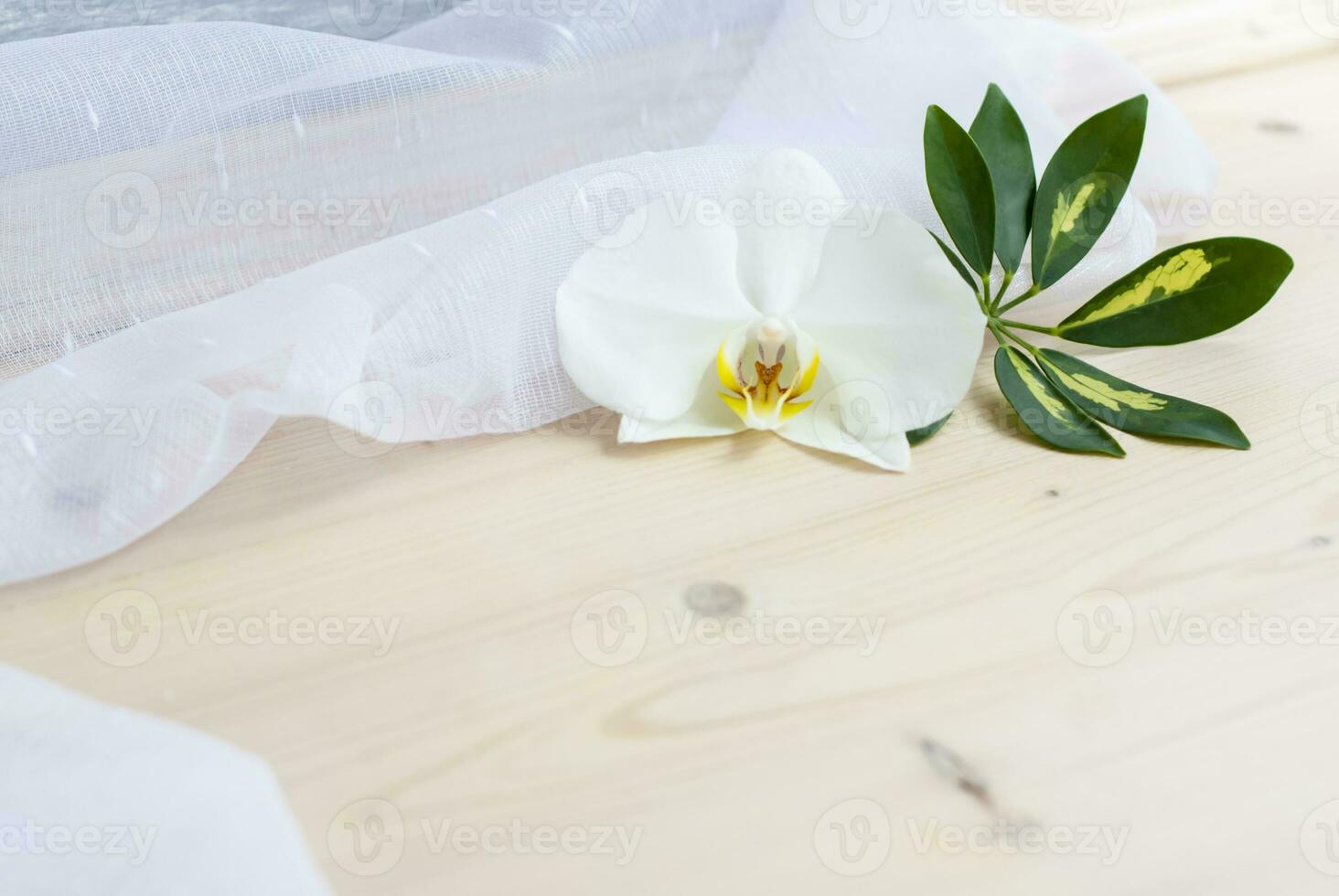 Spring lightness and tenderness. The freshness of the morning. Light composition with an Orchid flower, green leaf and transparent fabric. photo