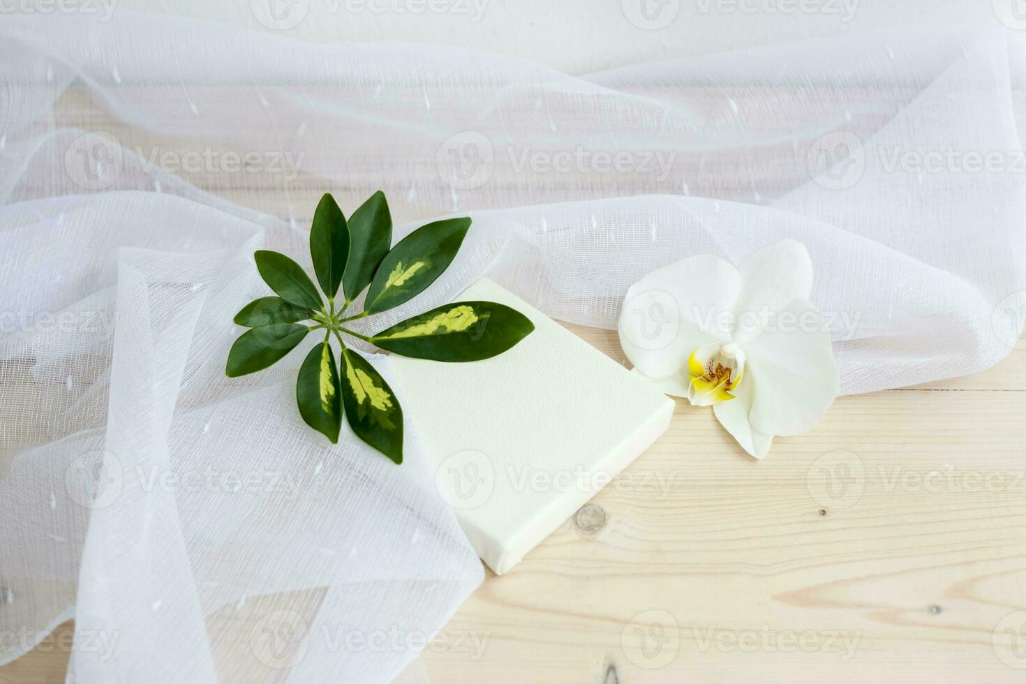 Spring lightness and tenderness. The freshness of the morning. Light composition with an Orchid flower, green leaf and transparent fabric. photo