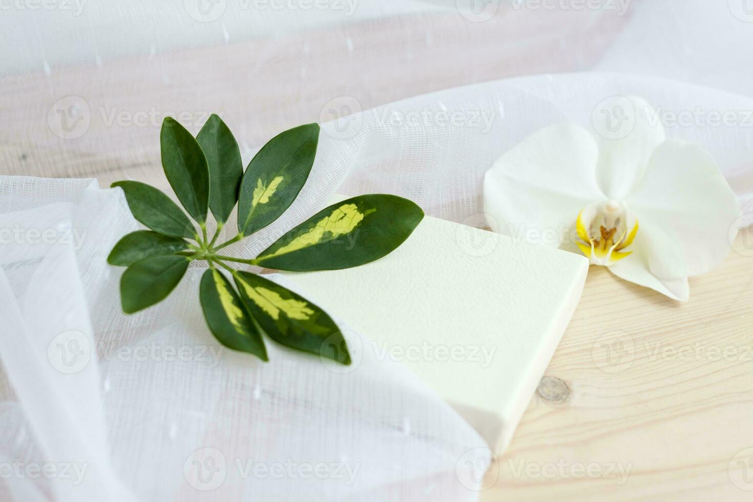 Spring lightness and tenderness. The freshness of the morning. Light composition with an Orchid flower, green leaf and transparent fabric. photo