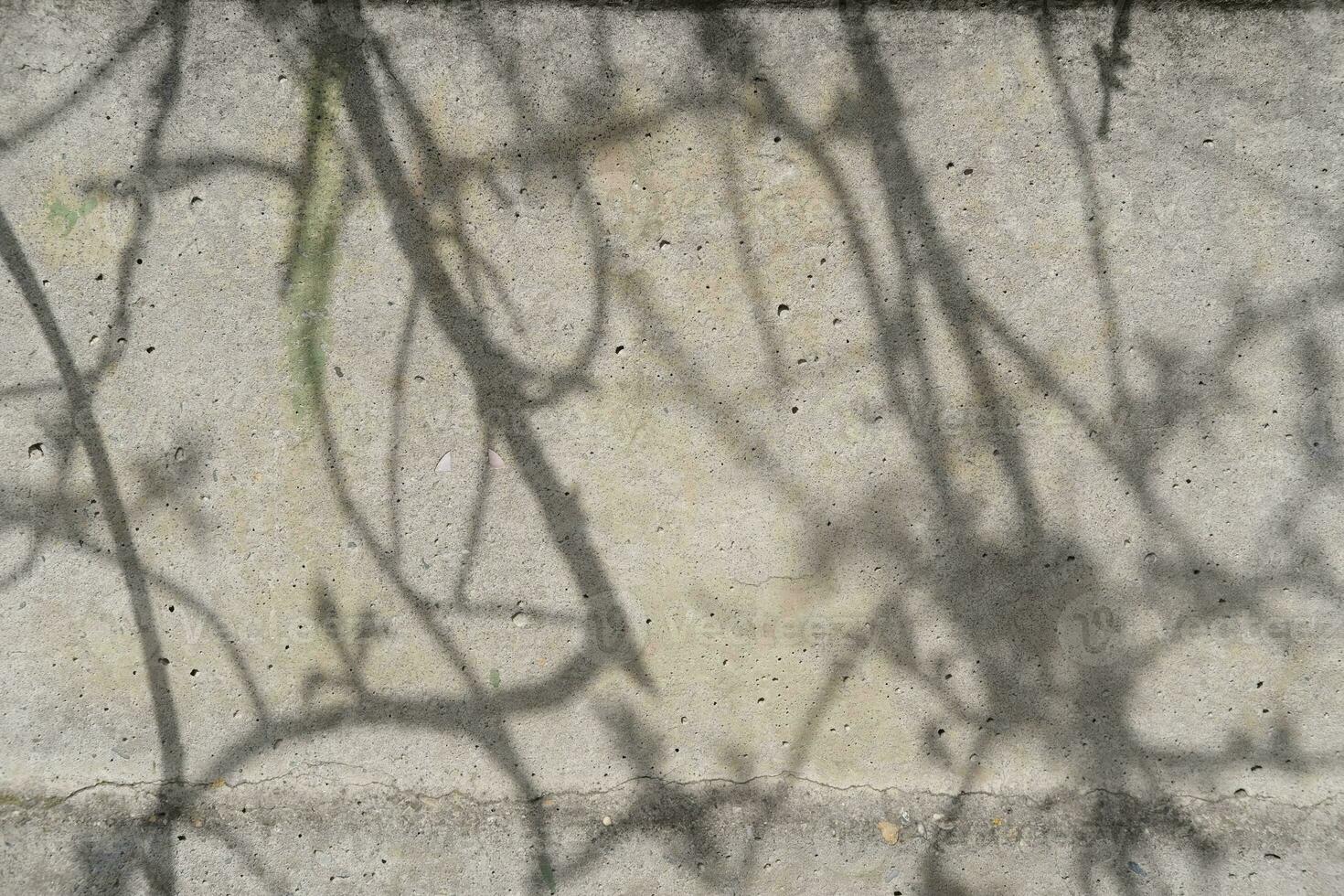 Tree branch shadows on rough wall texture photo