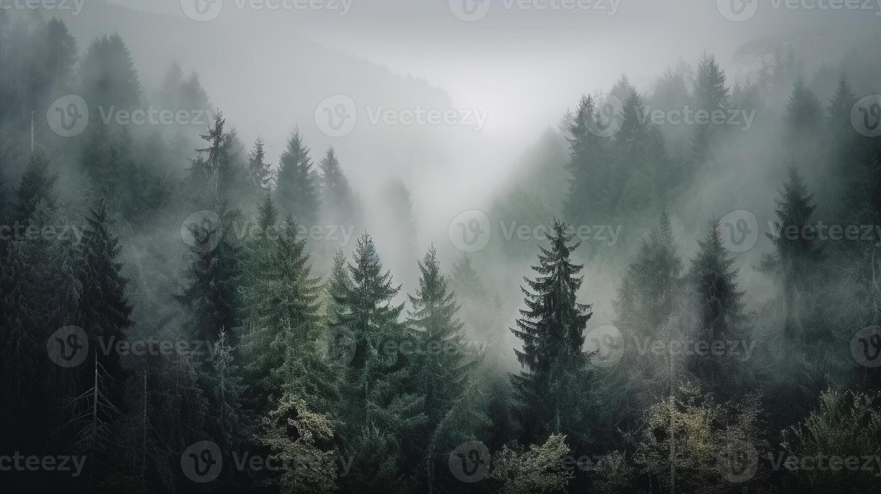 , Misty fir forest beautiful landscape in hipster vintage retro style, foggy mountains and trees photo