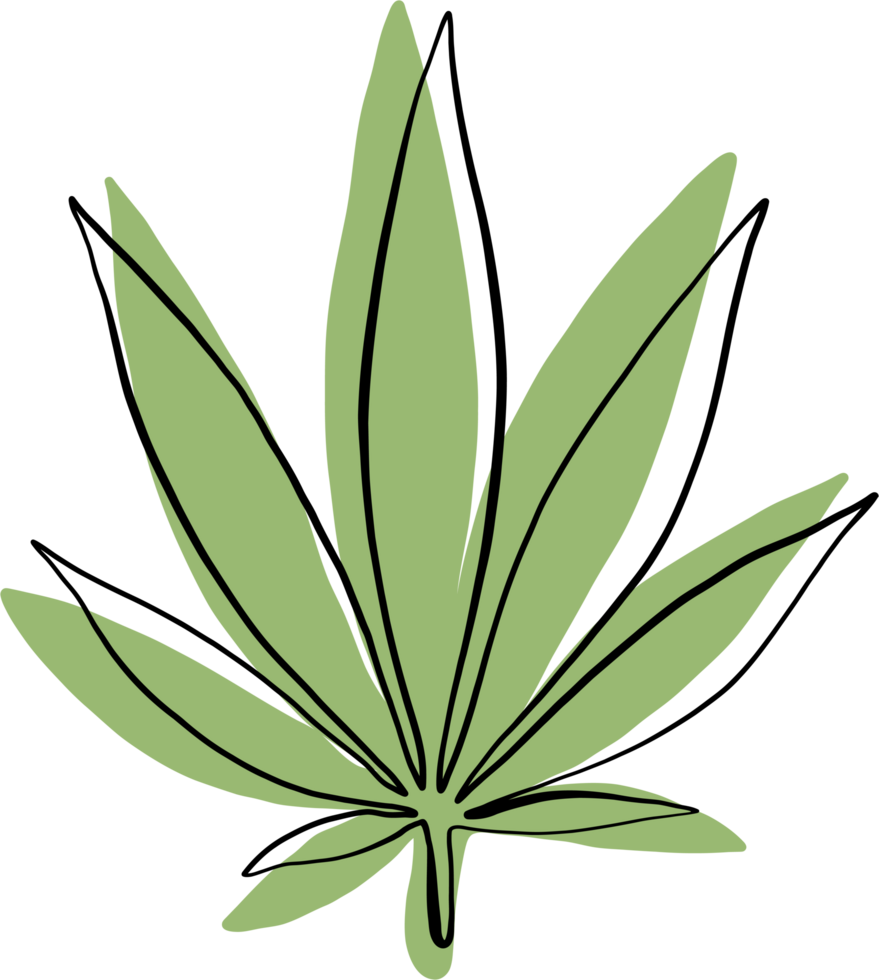 simplicity cannabis leaf continuous freehand drawing. png