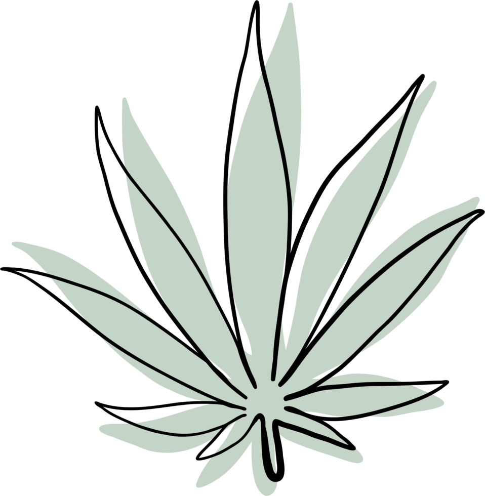 simplicity cannabis leaf continuous freehand drawing. png