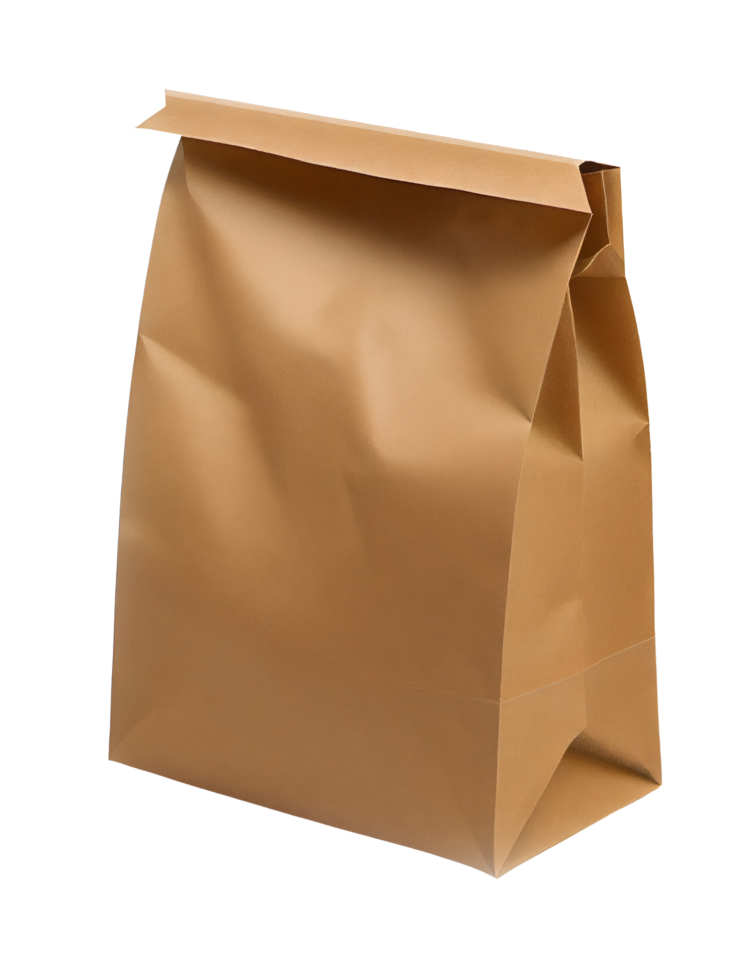 Twisted Handle Paper Bags | Design Online | Packhelp