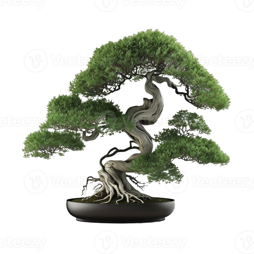 bonsai árvore em transparente fundo, criada com generativo ai png