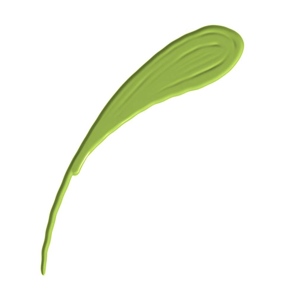 a green leaf png