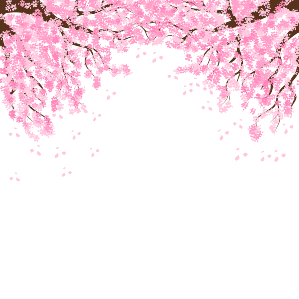 mano dibujado sakura florecer png