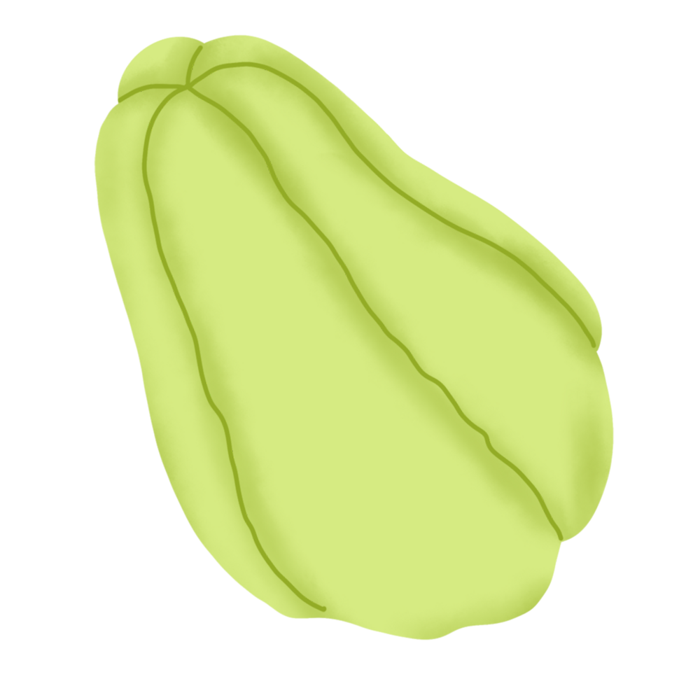 hand drawn vegetables illustration png